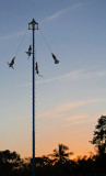 Los Voladores 4