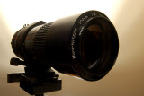 DSC_2006.xsm.jpg