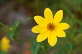 DSC_6160sm.jpg