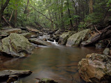 wHunting Creek1.jpg