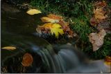 Yosemite - Beauty in its Smallest Waterfall