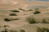 Sand Dunes Under Soft Light - #2