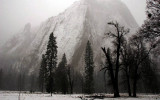 El Capitan Meadow, Cathedral Rock