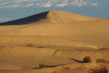 Morning Dune