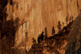 Half Dome Detail - Yosemite