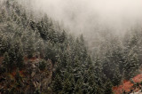 Snow Scene Along Highway 89, Near Wellsville, Utah