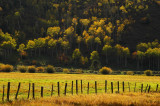 View Along Fall Creek Road, South of Wilson, Wyoming