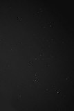 Cheung Sha Wan - Orion Constellation Ây¤á®y