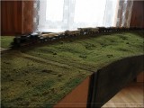 347_4717.JPG