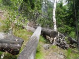 DSC05670.JPG