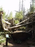DSC05810.JPG