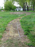 IMG_5953.JPG