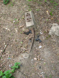 IMG_5957.JPG