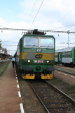 IMG_7213.JPG
