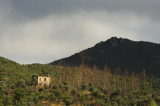 Hillside Ruins