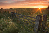  Country Gate