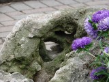 Garden Rock in the Fall