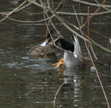 Mrs Mallard is duly impressed. She accepts his offer of a dinner date and they eat out.