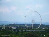 Singapore Flyer By The Sea