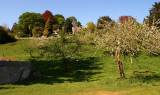 Lustleigh Orchard Park M