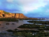 Evening at Northcott Mouth