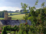 Buckland Abbey Apples