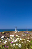Yaquina Head Lighthouse, OR