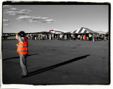 Black, White & bright orange.