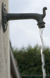 DSCF1640.jpg