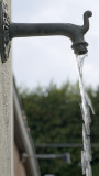 DSCF1641.jpg