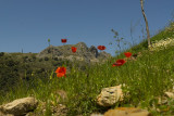 White villages area landscapes