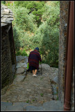 Piodao