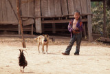 004 - A kid, a pup and a rooster