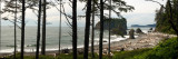 Beach Scene from the Olympic National Park