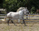 She Trots!
