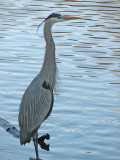 On the shoreline