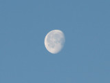 Morning moon