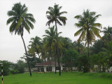 Clubhouse behind the coconuts