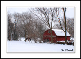 Thursday Challenge: Seeing Red