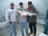 Bay Lady Charters