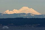 Mt Baker From Point no Point