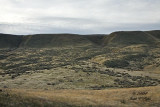 Shrub-steppe near Corfu