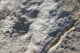 IMG_0126.JPG