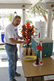 Paul, decorating the Christmas Tree