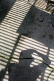 shadows.jpg