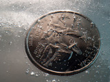 Coins in Ice 3.jpg