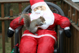 December 7, 2006<BR>Squirrel and Santa