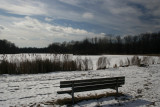 February 11, 2007<BR>Bench and Pond