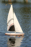 Shark Sailboat<BR>August 28, 2007