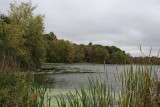 Local Pond<BR>October 10, 2007